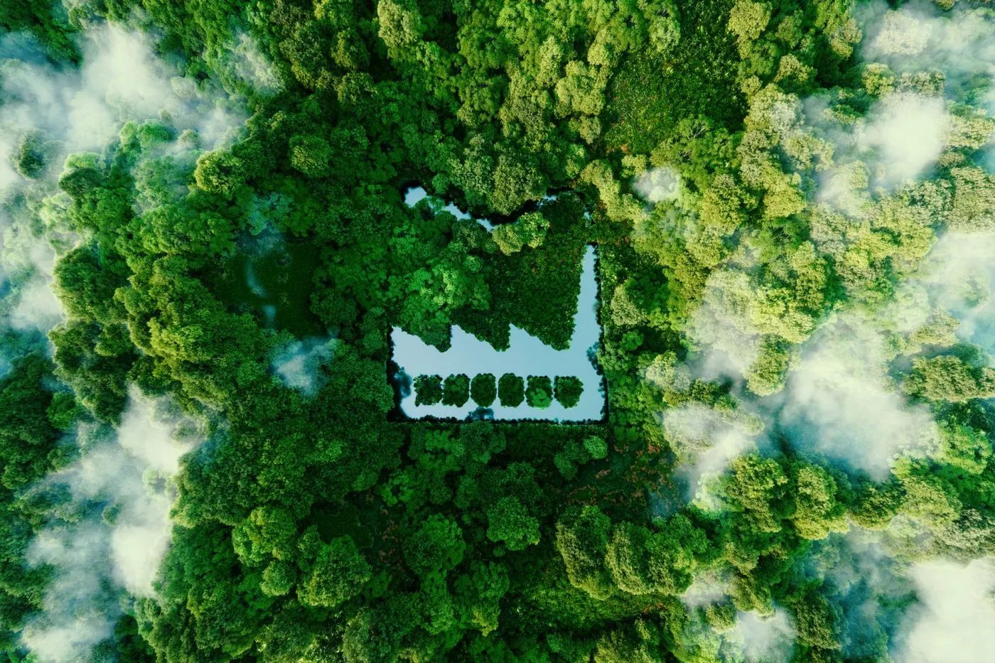Vista aérea de un galpón de METALFER integrado a una zona forestada